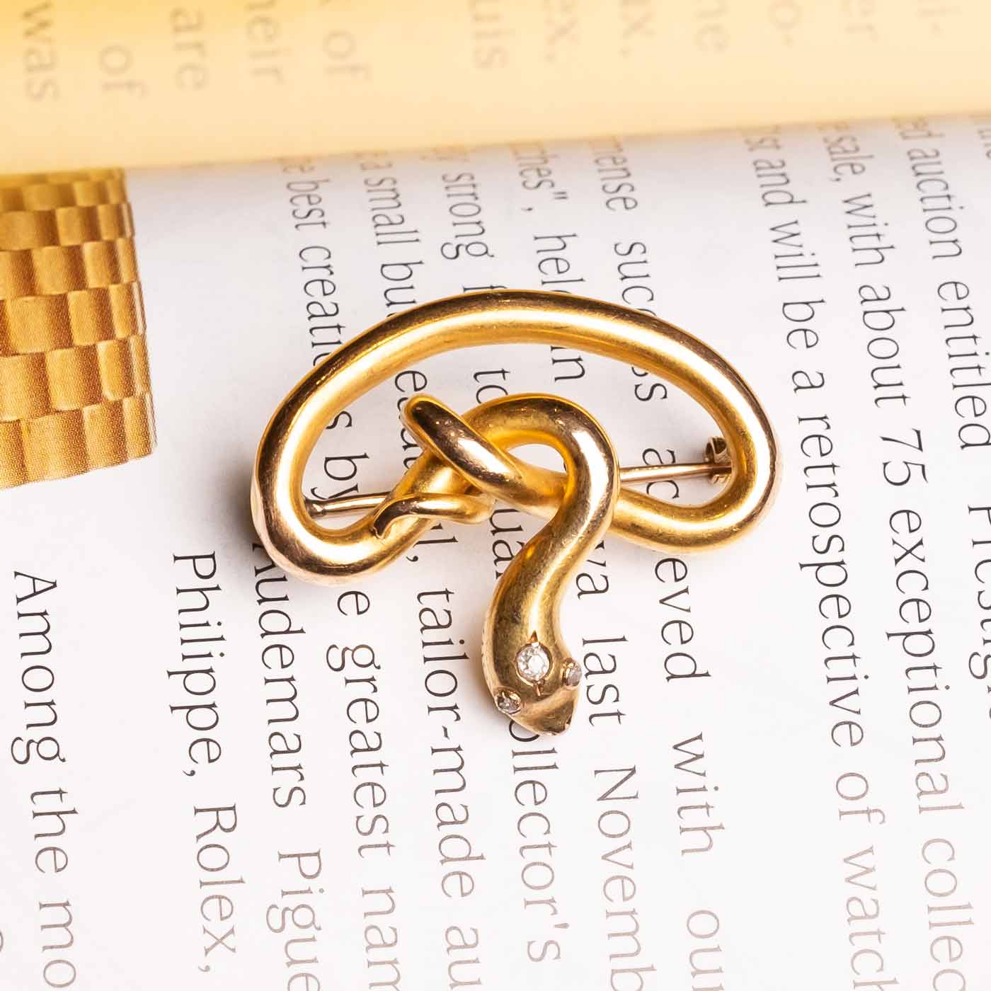 Antique snake brooch