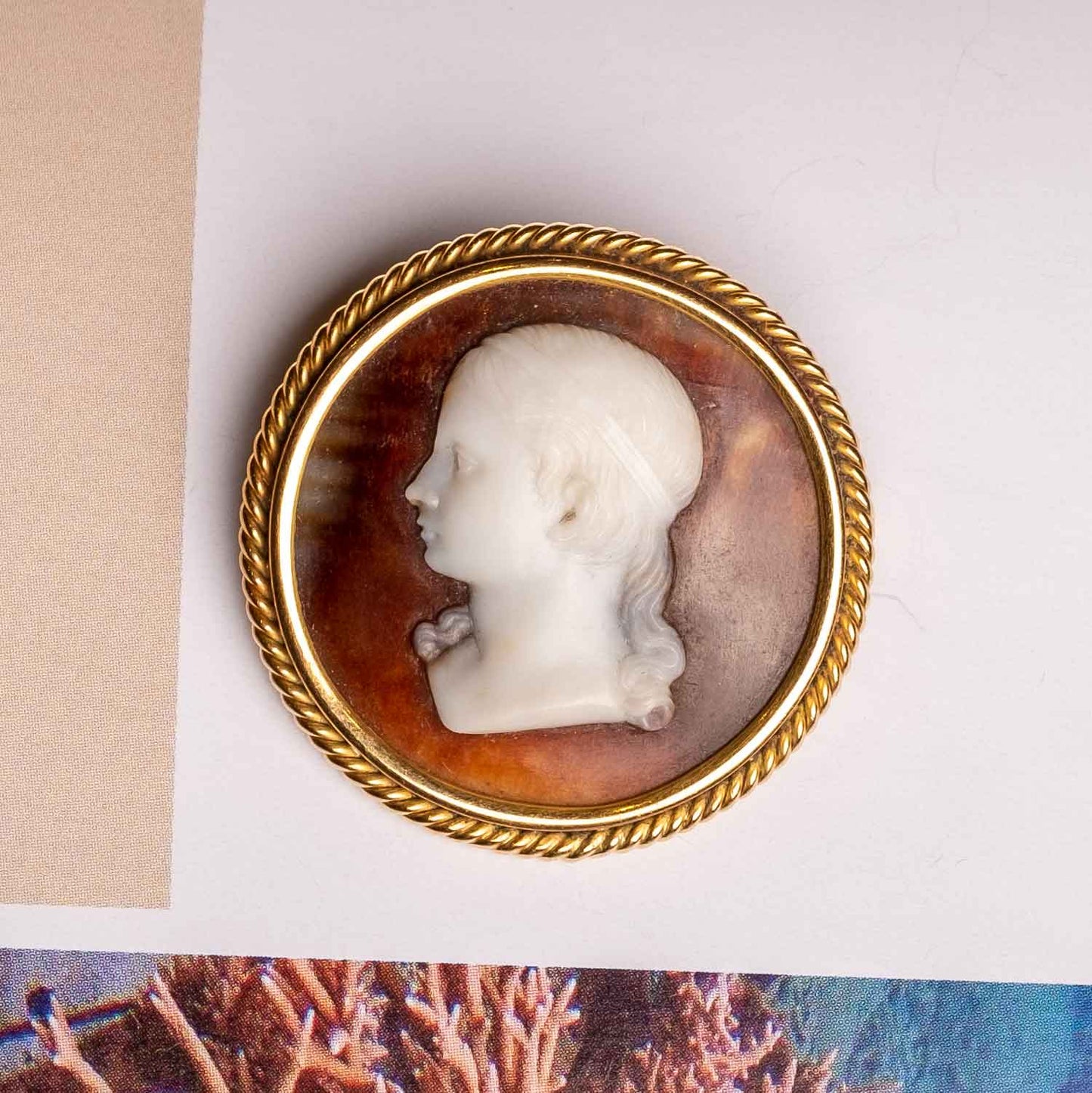 Late 19th Century Brooch – Hand-Carved Shell Cameo in 18ct Gold Setting